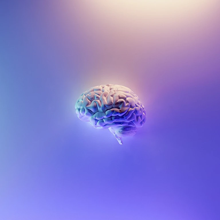 Optimiser l'usage des outils numériques pour une transformation réussie