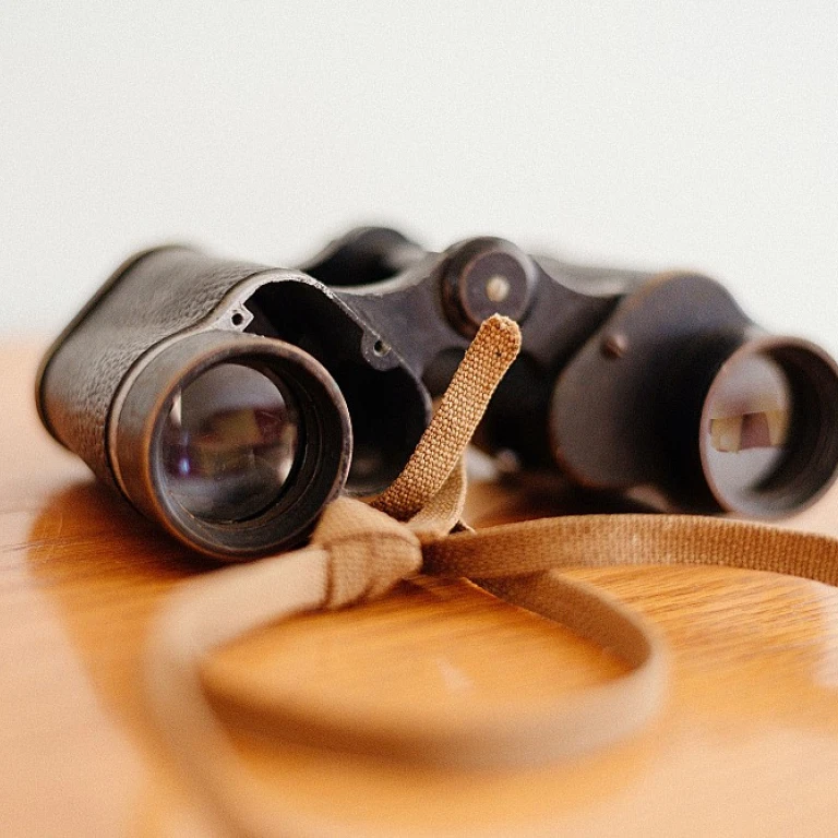 Optimiser l'utilisation des outils numériques