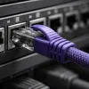 Expérience client omnicanale : comment les 76% qui l'exigent ont déjà re-façonné la hiérarchie des priorités digitales